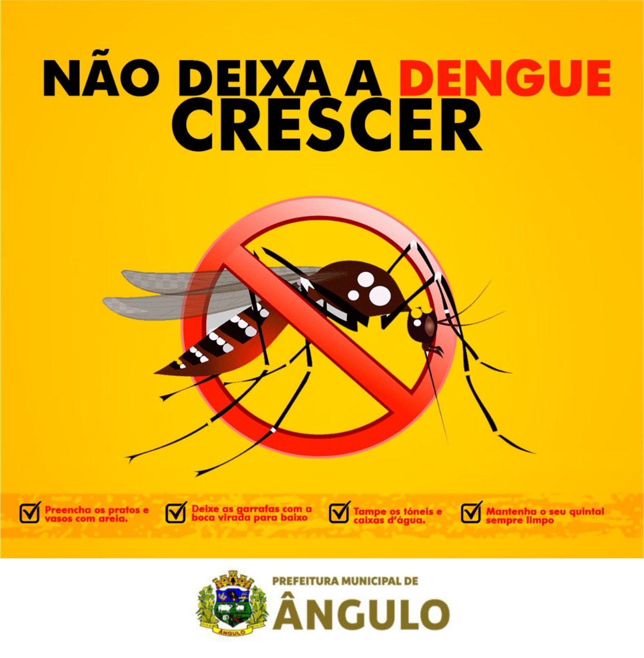 Notícia