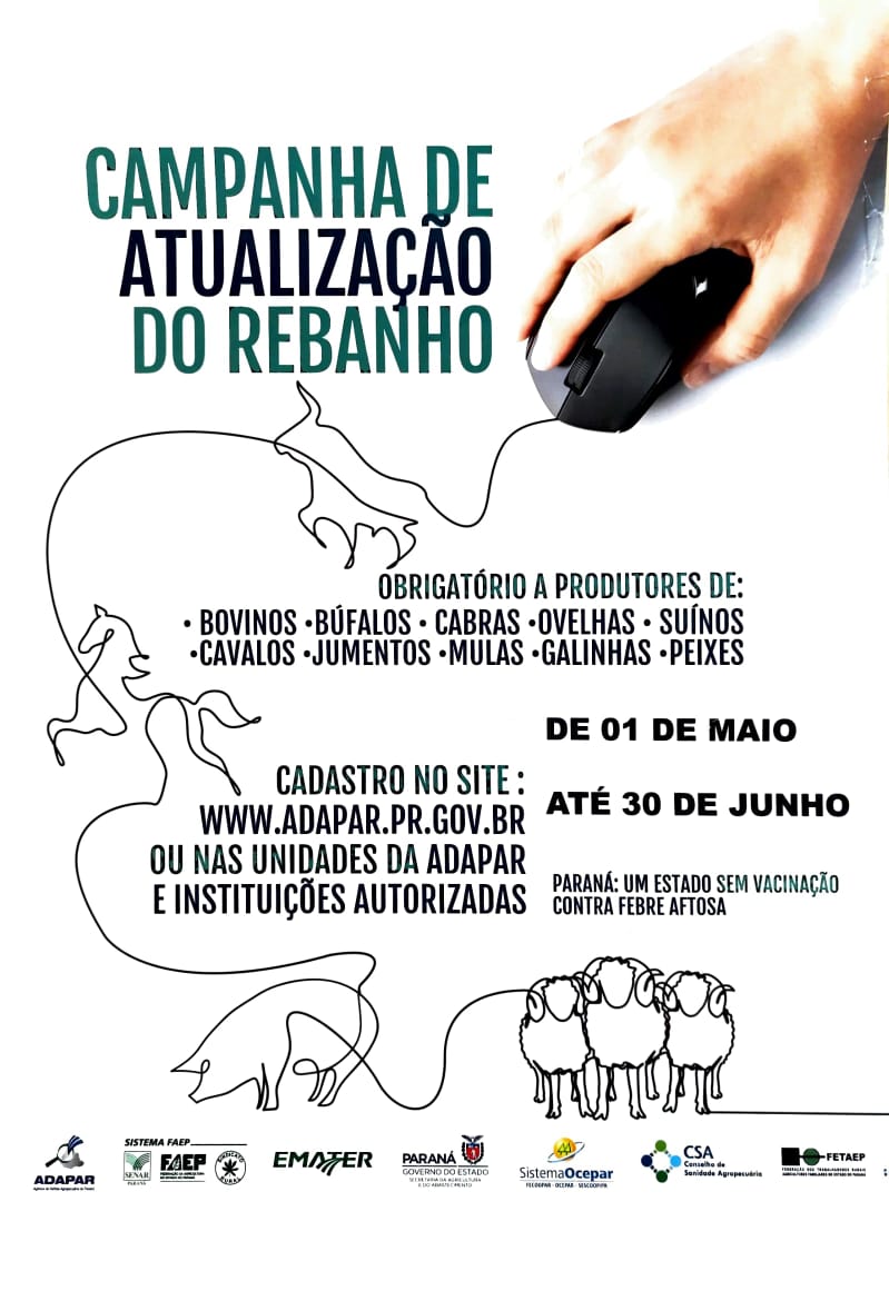 Notícia