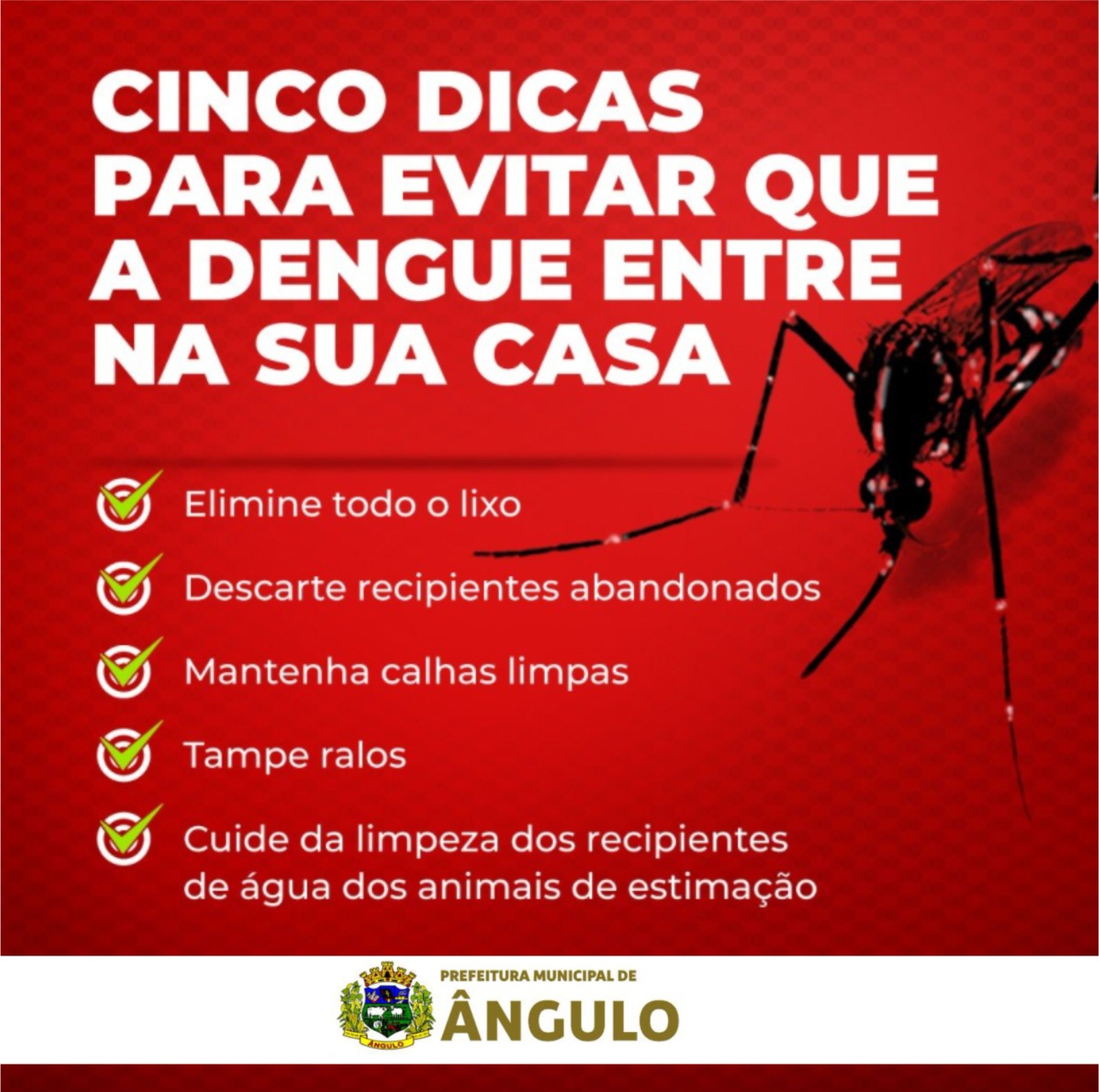 Notícia