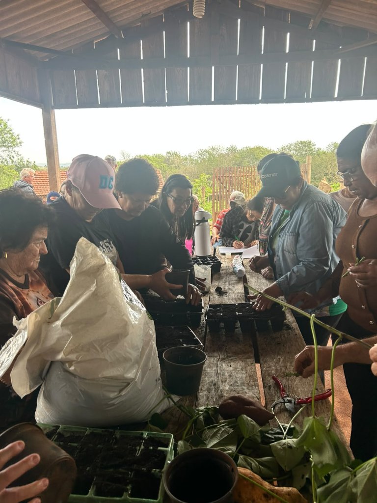 Horta Municipal de Ângulo promove capacitação e incentiva produção de alimentos